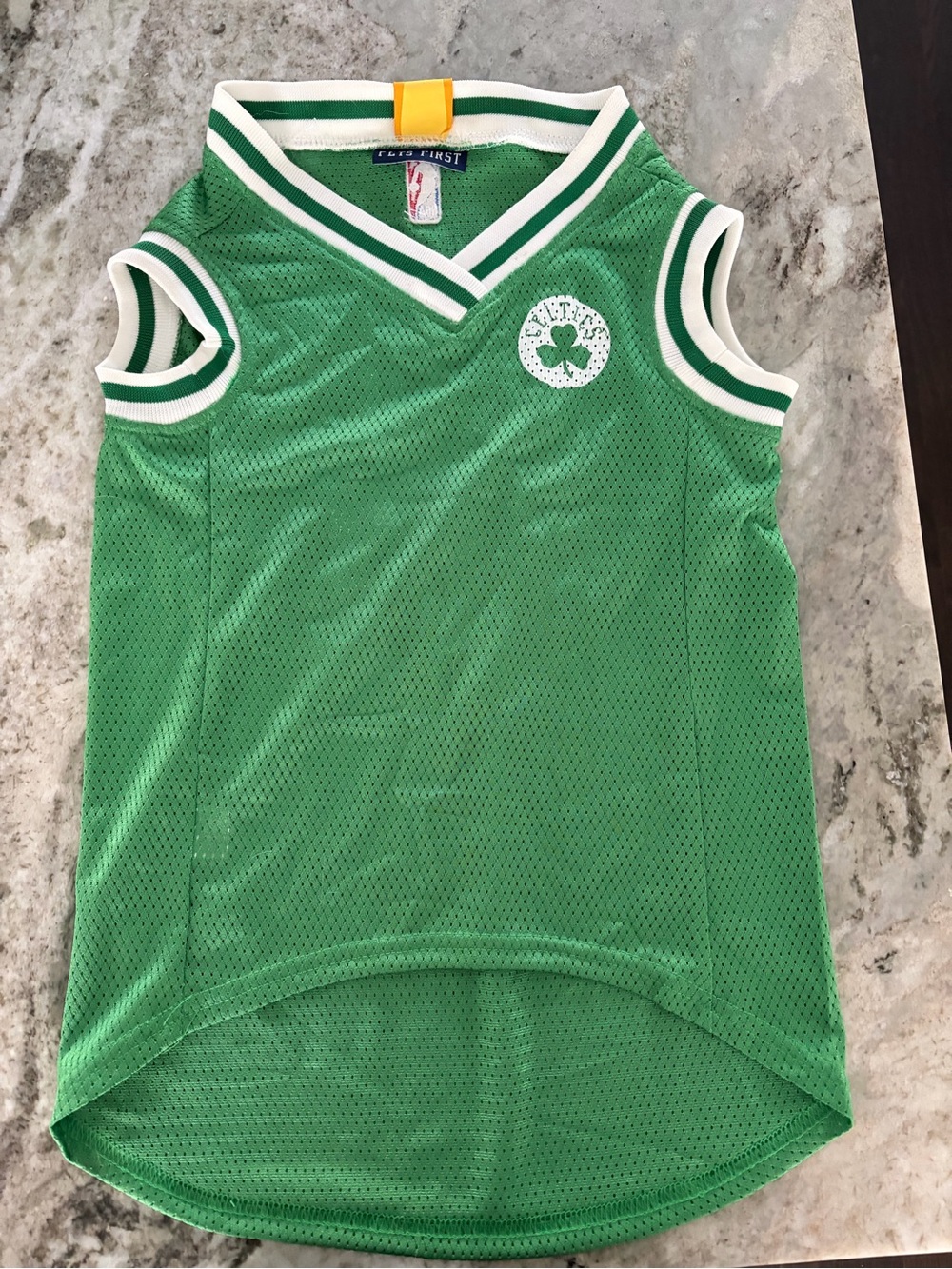 NBA Celtics Mesh Dog Jersey
